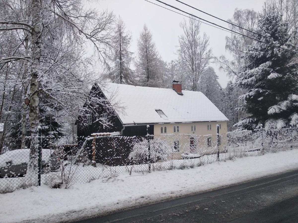 Holiday home Poustevnik Dolni Poustevna